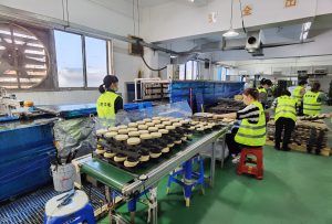 汽车内饰水转印自动化生产线